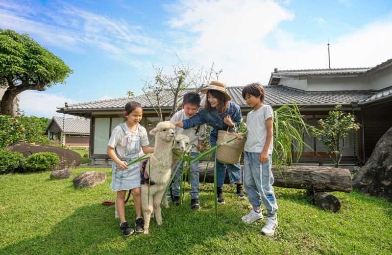 綠舞國際觀光飯店_圖片3