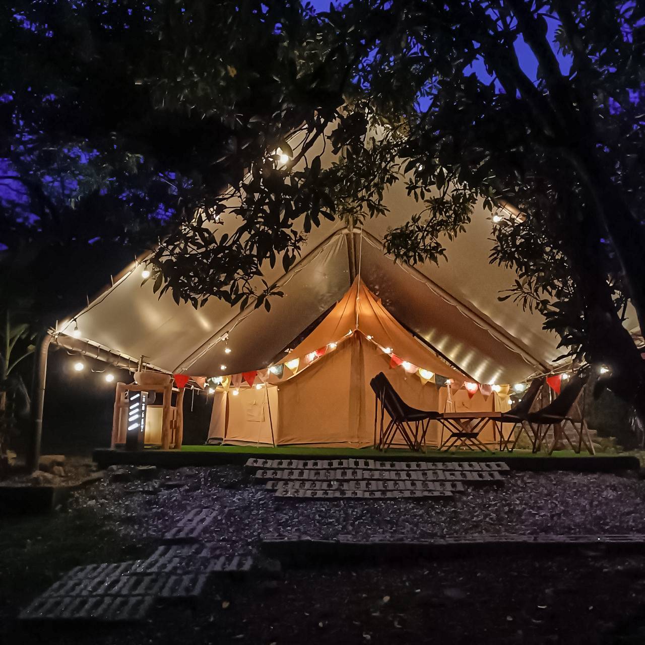 趣兒Chill:藍鵲菲菲